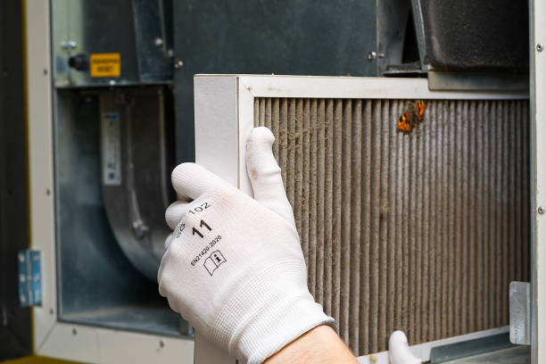 Best Home Air Vent Cleaning  in Evans, CO