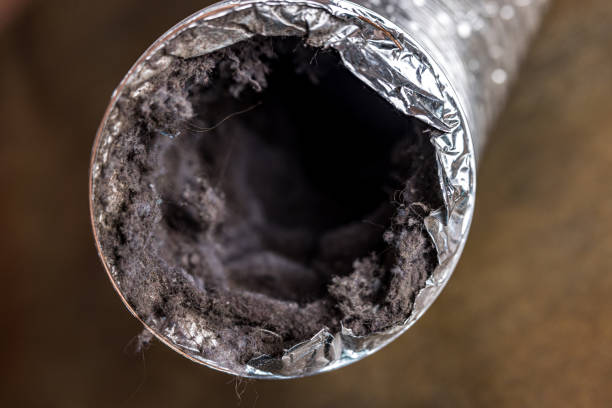 Best Dryer Vent Cleaning Services  in Evans, CO