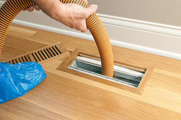 Best Local Air Duct Cleaning Services  in Evans, CO