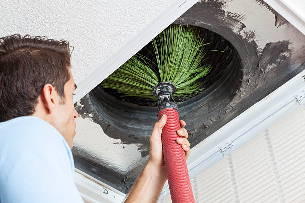 Best Emergency Air Duct Cleaning  in Evans, CO